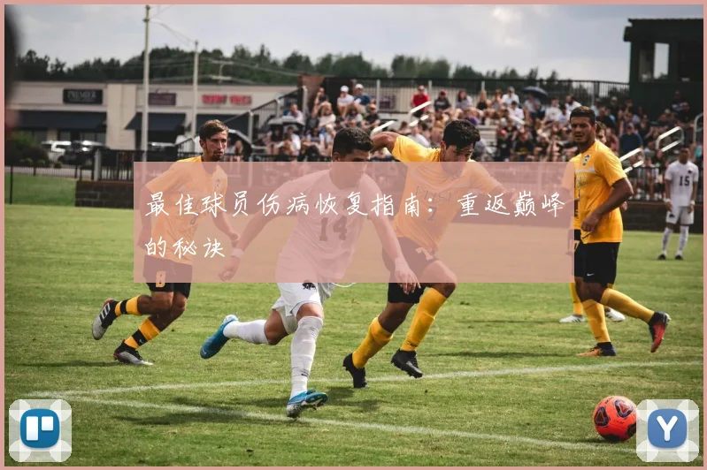 最佳球员伤病恢复指南:重返巅峰的秘诀