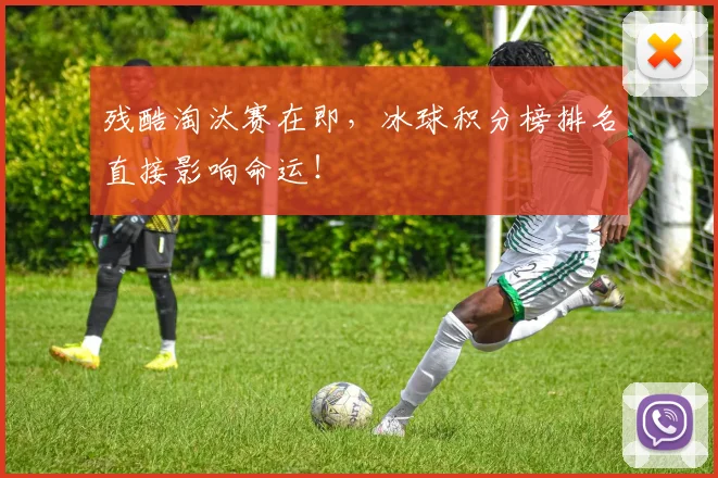 残酷淘汰赛在即，冰球积分榜排名直接影响命运！