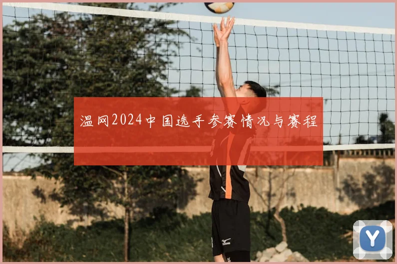 温网2024中国选手参赛情况与赛程
